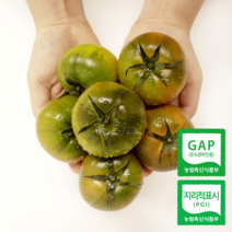 산지직송 부산 대저 짭짤이 토마토 2.5kg 로얄과 중대과, 대저토마토 L(대과)2.5kg 일반, 1개