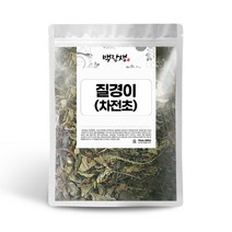 백장생 국내산 질경이 차전초 차, 300g, 2개