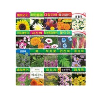솔림텃밭몰 2월 파종 가능 꽃 야생화 씨앗 모음, 1. 해바라기 50립, 1개
