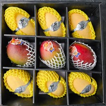 농장에서바로 프리미엄 항공망고, 1box, 혼합 망고선물세트(애플망고3개+노란망고6개)