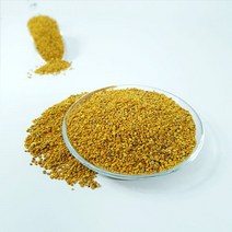 백장생 비폴렌 벌화분 먹는 꽃화분, 1kg, 1개