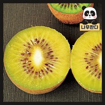 (나무판다) 키위나무 묘목 시리즈, 1. 골드키위 접목1년
