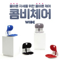 [휴식]DSP 바른자세 교정 커브의자 앉은뱅이 척추의자 디스크의자 콤비체어, 블랙