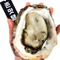 통영 삼배체굴 1kg 2kg 4kg 사계절 제철 대왕굴 석화, 통영 일반 냉동굴 1kg, 1개