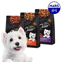 시저 애견사료, 1kg x 칠면조 x 2개, 단품