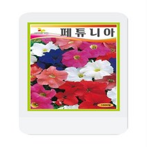 페튜니아씨앗 혼합 1000립 페튜니아 꽃씨 씨앗 대장