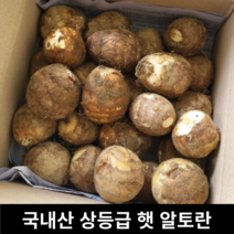 [국내산/국산] 햇알토란 깐토란 흙토란 1kg 2kg (상등급) 피토란 깐토란 깐 소용량 햇 알토란 피로회복 노화방지 생토란 생 토란 무농약 신선한 싱싱한 햇토란 흙, 깐토란 500g