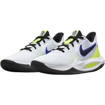 국내 매장판 나이키 프리시즌 5 CW3403-100 농구화
