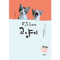 당신에게 고양이:시골 집사와 다섯 냥이의 명랑한 동거생활, 꿈의지도, 이용한