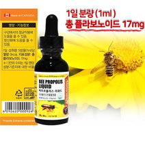 네추럴라이즈 캐나다 비프로폴리스 액상 30ml 스포이드(리퀴드)