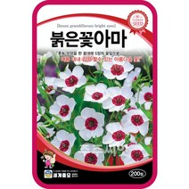 붉은꽃아마 200립 /관상용 야생화 텃밭 키우기 꽃씨 종자 씨앗