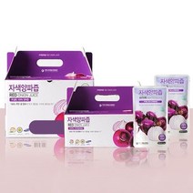 남도미향 [자연나라]무안 자색양파즙 100ml x 120포, 1, 1