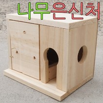 알통 문조 다람쥐 앵무새 슈가 소형새 나무 집 하우스