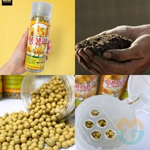 위센티브 화분영양제 280G 식물약 화분거름 다육이 영양제