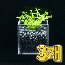 어항수초 컨테이너 펄그라스 세트 3개, 단품