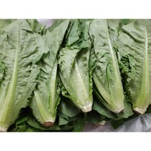 [특급] 싱싱한 통로메인 2kg(1.8~2kg)박스
