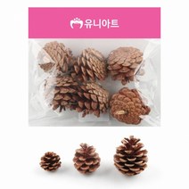 ㅣ제우스ㅣ[유니아트]2000 천연솔방울 소 중 대