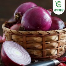 온도씨 가락시장 햇 적양파 10kg