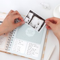 ( 사은품 마스크 증정 ) 초음파 앨범 스티커 꾸미기 산모수첩 임신 초음파 사진 보관 태교 태아 일기 일기장, 버드 1 (마스크 증정)