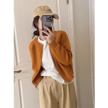 지퍼 간절기 여성 슬림 니트 가디건