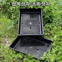 한누리팜마트 삽목상자 초화상자 화분 51x36x10cm