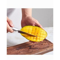 [새벽배송]제철과일 국산애플망고 특대 고당도 로얄과 프리미엄 당일경매과일 3kg 5kg 7kg 초신선과일 가락시장 당일배송