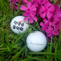 와우박스 주문제작 골프공마킹 홀인원 기념 선물, 타이틀리스트 V1 Pro, 1번 흘림체