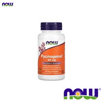 나우푸드 소나무 껍질 추출물 240mg 90베지캡슐 Pine Bark 파인바크 그린티 Green Tea, 1개, 기본