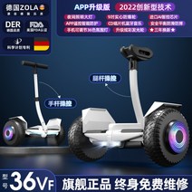 전동휠 호버보드 나인봇 화이트 블랙 무릅제어 36v 일반휠, 1, H