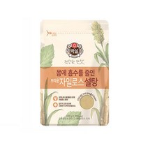 CJ백설 자일로스 브라운설탕 500g, 쿠팡kiwiq 1, 쿠팡 본상품선택