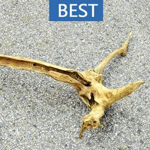 유목 대형 105cm 국산