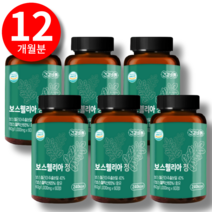 보스웰리아 이병헌 관절 연골 보스웰리아, 건강바름 보스웰리아(12개월분)