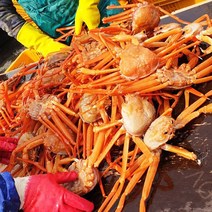 [산지직송]가성비갑 구룡포 앞바다 연지 홍게 3kg