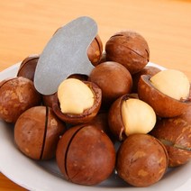 도토리까는 기계 밤 호두 잣 은행 까는기계 탈피기 미니 너트 크래커 스테인레스 스틸 마카다미아 따개 휴대용 캠핑 너트 도구 주방 액세서리, 1개, 1개
