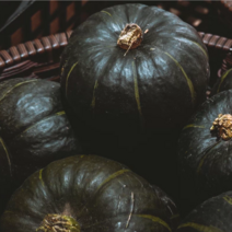 방씨아들 국내산 햇 미니단호박 밤호박 보우짱, 5kg (15개내외), 15개