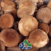 함안특산품 전설의 생 표고버섯 실속형 가정용 500g 무농약 자연환경재배