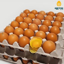 에그트리 생계란 농장직송 달걀, 90구(4680g이상), 대란