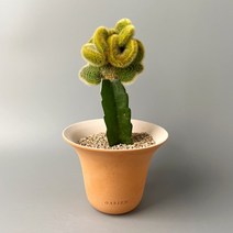 여우꼬리 철화 접목 선인장 - 황금 빛깔의 미니 밍크선인장, 오아지앙 포피팟 완성분 (분청/산백 색상), 1개