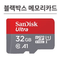 샌디스크 유라이브 A5 블랙박스 메모리 32기가 SD카드, 32GB