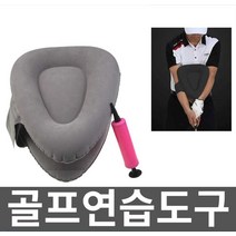 골프연습도구 연습기구 자세교정기 드라이버스윙 궤도, 회색