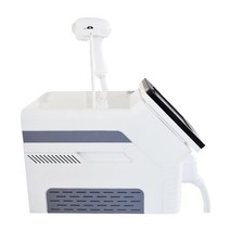 전문 755 808 1064 기계 휴대용 미용 장비 무통 영구 다이오드 레이저 제모 배송 신제품, 01 110V