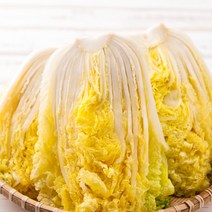 국산 절임배추 김장배추 양념세트 3kg 5kg 10kg 20kg 김장김치양념 김치속 김장 양념 양념속 절임, 1_1. 절임배추 3kg