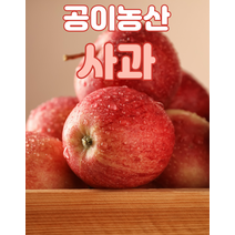 공이농산 꿀 사과 5kg 부사과 후브락스 충주사과 농장직배송 GAP인증 새콤달콤, 상세페이지 참조, 상세페이지 참조