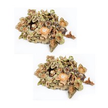 감꼭지 감꼭지차 무첨가물 국내산 300g 2팩, 단품, 단품