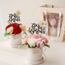 메르시 비누꽃 카네이션 로즈 화분 세트, 선택안함, 살구레드