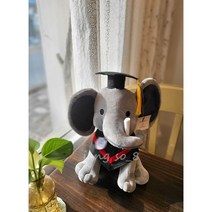 졸업인형 졸업선물코끼리인형 학사모인형, 화이트