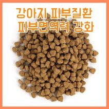 강아지피부병약 곰팡이성피부염 지루성 피부병 지간염 탈모 영양제 모낭충 아토피 비듬 각잘 습진 약, IN  피부병 및 면역강화제 340g