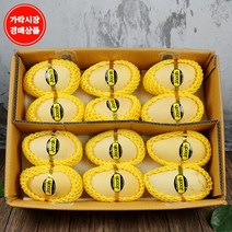 [맛다름] [가락시장 경매 식자재 과일][태국] 망고 5kg내외 원박스 12과(개당 410g내외) 아이스박스 포장, 1개, 5kg내외 원박스 12과