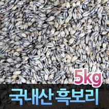 국내산 잡곡 흑보리쌀 검정보리 흑보리 5kg, 단품