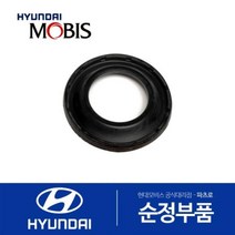 부트-캘리퍼 브레이크 (581143N500) 제네시스 제네시스 G80 뉴 에쿠스 제네시스 EQ900 K9 더뉴 K9, 1개